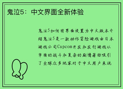 鬼泣5：中文界面全新体验